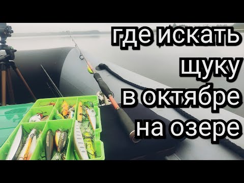 Видео: РЫБАЛКА НА ЩУКУ ОСЕНЬЮ. СПИННИНГ И КРУЖКИ. КРУПНЫЕ ПРИМАНКИ