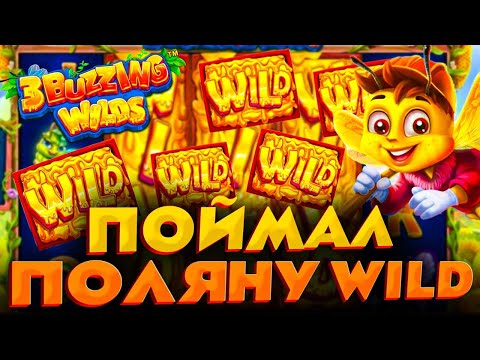 Видео: Я СЛОВИЛ ВСЮ ПОЛЯНУ ВИЛДОВ В 3 BUZZING WILDS!!! ЗАНОСЫ НЕДЕЛИ