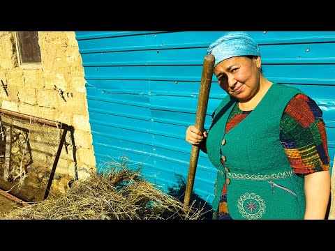 Видео: Мәә қораға барып шөп тасыдым.Шарбақтағы қора.Гүлеке