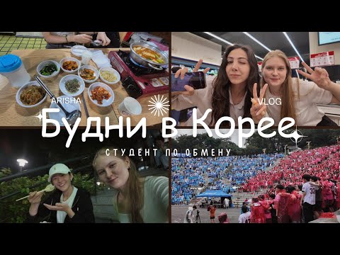 Видео: Будни студента по обмену в Корее: учеба, шоппинг, cafe hopping, cheering orientation