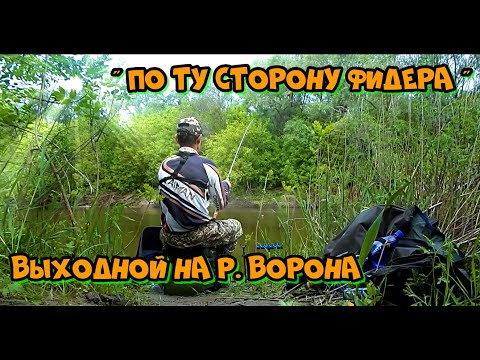 Видео: По ту сторону фидера/выходной на реке Ворона/Борисоглебск