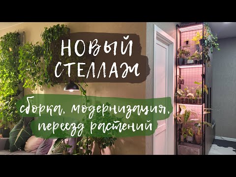 Видео: Новый стеллаж | Сборка, модернизация, переезд растений