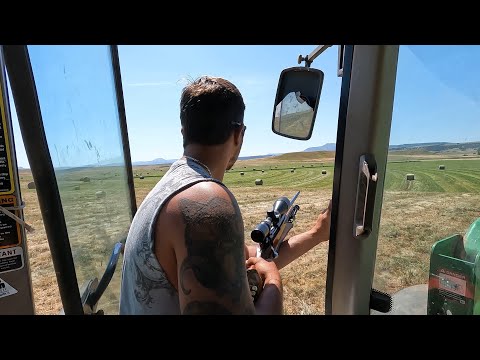 Видео: Теперь мы Ранчин!