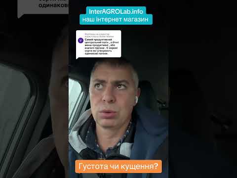 Видео: Густота чи кущення ?