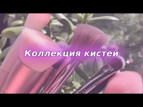 Видео: Все мои кисти для макияжа | Коллекция кистей | Manly pro, Roubloff, Ne Blednaya, Buton