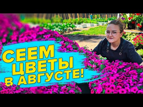 Видео: КАКИЕ ЦВЕТЫ СЕЯТЬ В АВГУСТЕ? ГОТОВИМ ГРУНТ ДЛЯ РАССАДЫ САМИ ДЕШЕВО и ЭКОНОМНО