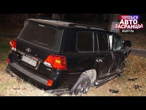 Видео: Дорожные Пируэты Торопыг и Водятлов! Ноябрь ДТП