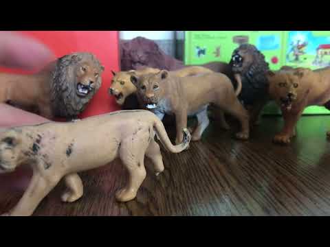 Видео: Мой прайд львов шляйх