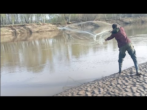 Видео: Кастинговая сеть, рыбалка в новом сезоне.