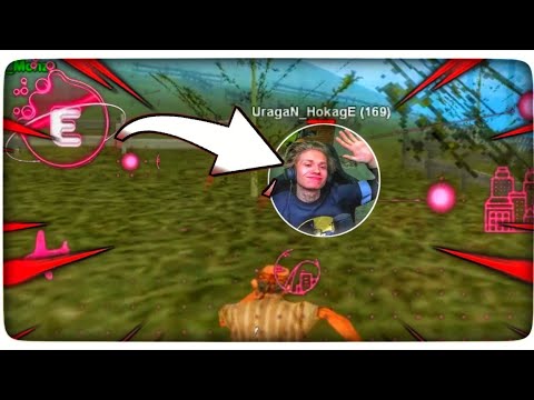 Видео: ВСТРЕЧАЙ, EVOLVE RP! #1