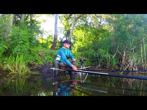 Видео: НАСИПАВ СПЕЦІЙ і ВОДА ЗАКИПІЛА!! КАРАСЬ з БОЛОТА!🐟Рибалка на поплавок🎣