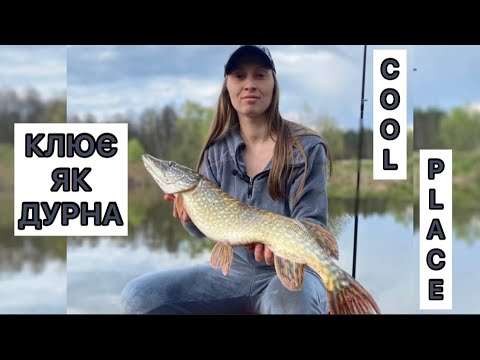 Видео: Весняний спінінг. ЗА 2 ГОДИНИ - КУПА РИБИ. Щука на кожному закиді!ВОДОЙМА COOL PLACE.