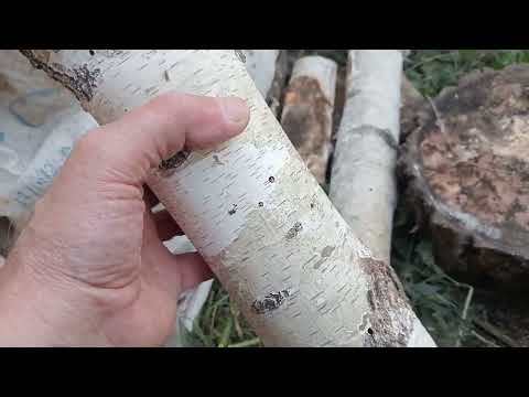 Видео: Проверка шпальта из дровника.