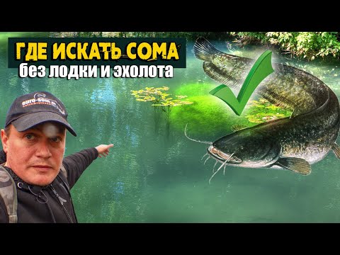 Видео: Как искать СОМА без лодки и эхолота с берега на озере