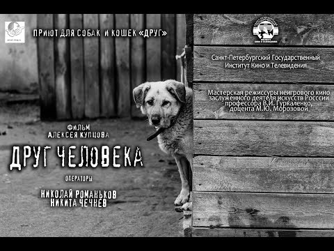 Видео: Друг Человека