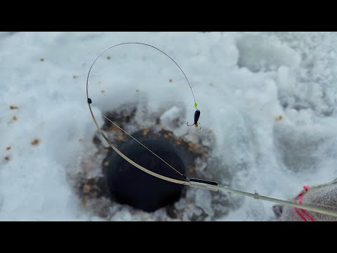 Видео: Ловля леща на гнутый кивок с чертом