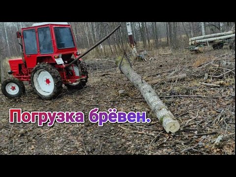 Видео: Работа т 25 в лесу. Погрузка леса.