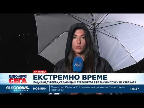 Видео: Паднали дървета, свлачища и бурен вятър в различни точки на страната