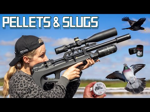 Видео: Охота с FX Wildcat и Crown | Пули и пули | Борьба с вредителями с помощью пневматического оружия ...