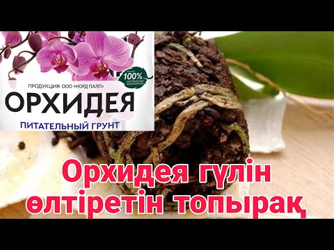 Видео: Орхидея гүлін өлтіретін топырақ 🤦‍♀️ Орхидея гүліне пайдалы топырақ жасау. Гүлдер әлемі үй гүлдері