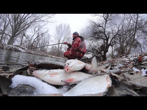 Видео: ПОПЛАВОК НЫРЯЕТ, ЛЬДОМ ПОКРЫВАЕТ. В КАНАЛЕ на поплавочную удочку зимой. Рыбалка на полавок.