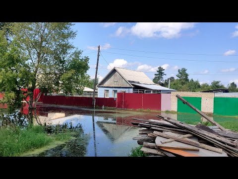 Видео: Челябинская область Коркино 1 августа болота цветут пытаемся откачать воду