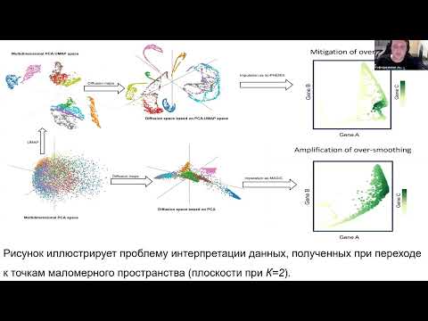 Видео: Современные методы обработки данных. Лекция 4 (11.11.2024)