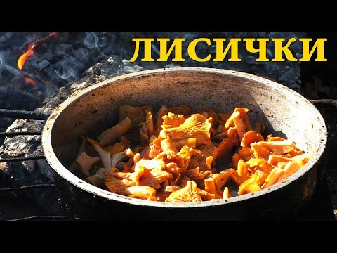 Видео: Как ЛЕГКО почистить ЛИСИЧКИ и правильно ЖАРИТЬ  #грибы