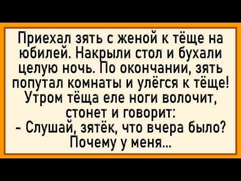Видео: Как Зять Тёщу С Юбилеем Поздравил! Сборник Свежих Анекдотов! Юмор!
