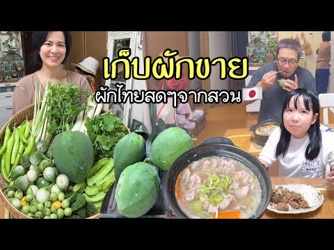 Видео: Собираю овощи, чтобы отправить их любимой сестре и продаю их, как настоящая японская домохозяйка ...