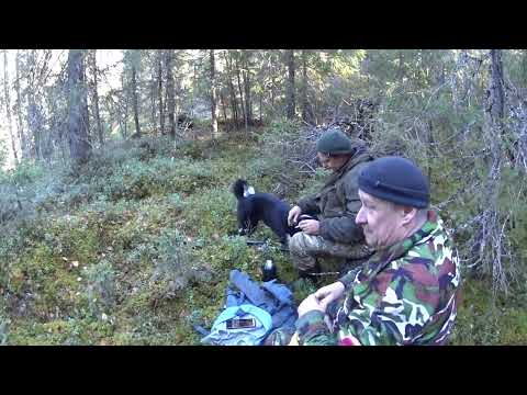 Видео: осень рыбалка Республика Коми большой поход продолжается Таёжный быт Таёжная жизнь таёжная изба