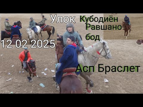 Видео: Улок Кубодиён Равшанобод 18 02 2025 Бузкаши Вахоб безнесмен Максимгоркий