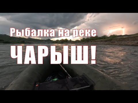 Видео: Рыбалка на реке Чарыш! #алтай #чарыш #хариус