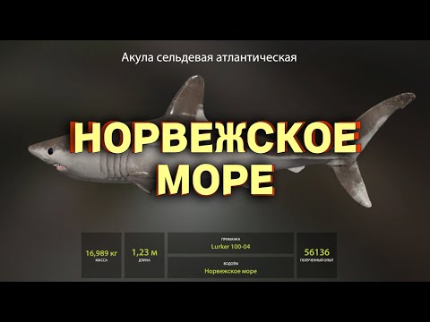 Видео: Русская Рыбка 4 - Норвежском море взгляд новичка!
