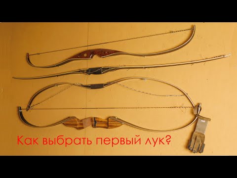 Видео: Как выбрать первый лук