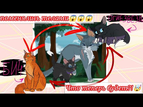 Видео: Бич и Огнезвёзд поменялись местами! АУ, теории! Бич предводитель Грозового племени?😱