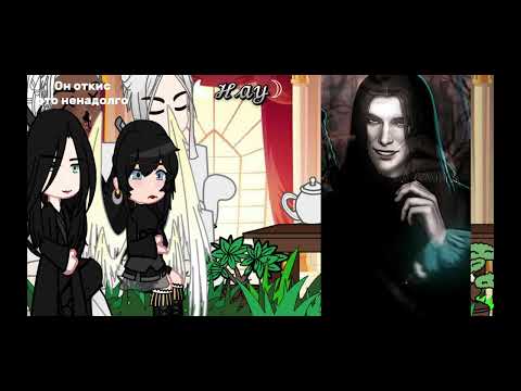 Видео: ꧁Реакция всадников на тт꧂★Сн2★❗️Вики/Голод❗️♡︎1/?♡︎