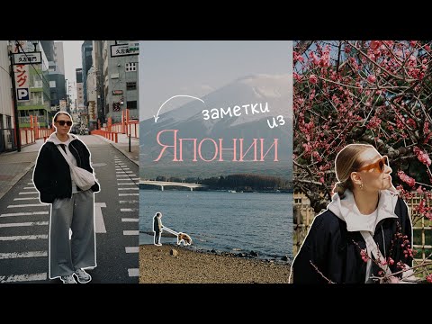 Видео: Путешествие по Японии | Осака-Киото-Фудзи-Токио | Видеодневник