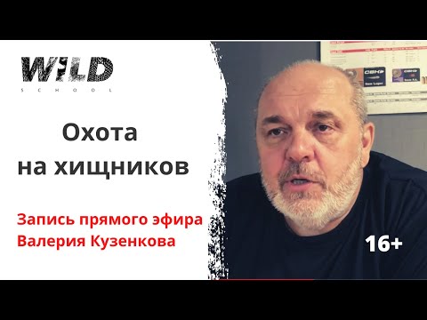 Видео: Охота на хищников. Запись прямого эфира. Лекция Валерия Кузенкова