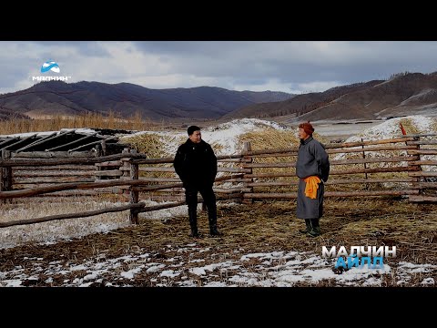 Видео: [ Малчин айлд ] нэвтрүүлэг #15 ᠌᠌ Булган аймгийн Хангал сумын малчин Х.Эрдэнэбулган