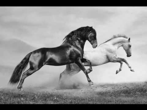 Видео: Ян Френкель - "Погоня" из х/ф "Неуловимые мстители"