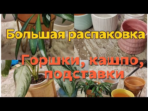 Видео: Большая распаковка | Кашпо, горшки, подставки и многое другое