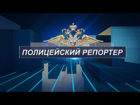 Видео: Полицейский репортер 14.11.24