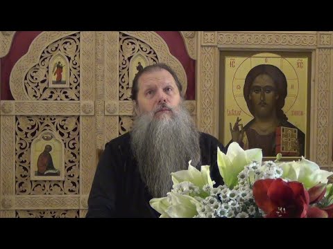 Видео: "Родительская Дмитровская суббота". Тема вопросов: "Мы и наши почившие сродники... ". Конф. 011125.