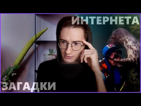 Видео: Дневная доза интернета с Олёшей 4 (с нотками историй про парашют)