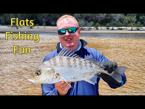 Видео: 🎣 Рыбалка на островах Фрейзер-Айленд — гребнеголов и плоскоголовка на лёгкие снасти