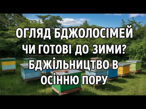 Видео: Огляд бджолосімей. Чи готові до зими? Бджільництво в осінню пору
