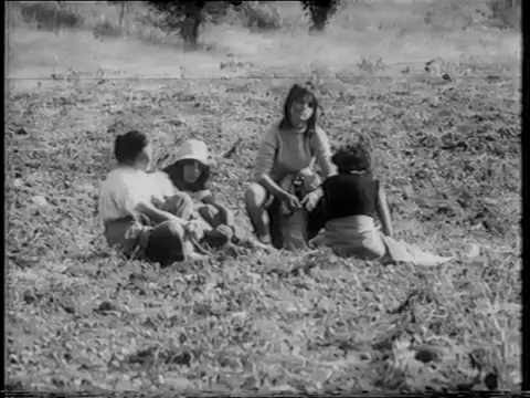 Видео: На бригада... като на бригада /документален филм, 1986 г./