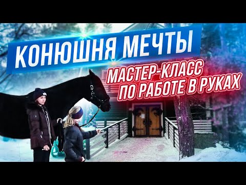 Видео: Новая конюшня? МАСТЕР-КЛАСС по работе в руках