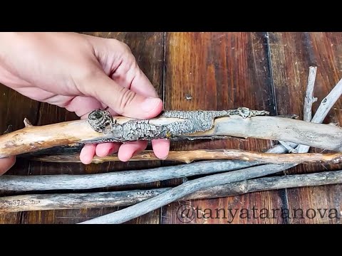 Видео: Давайте вдохновимся природой! 🌿 Идеи декора из подручных материалов ⭐️